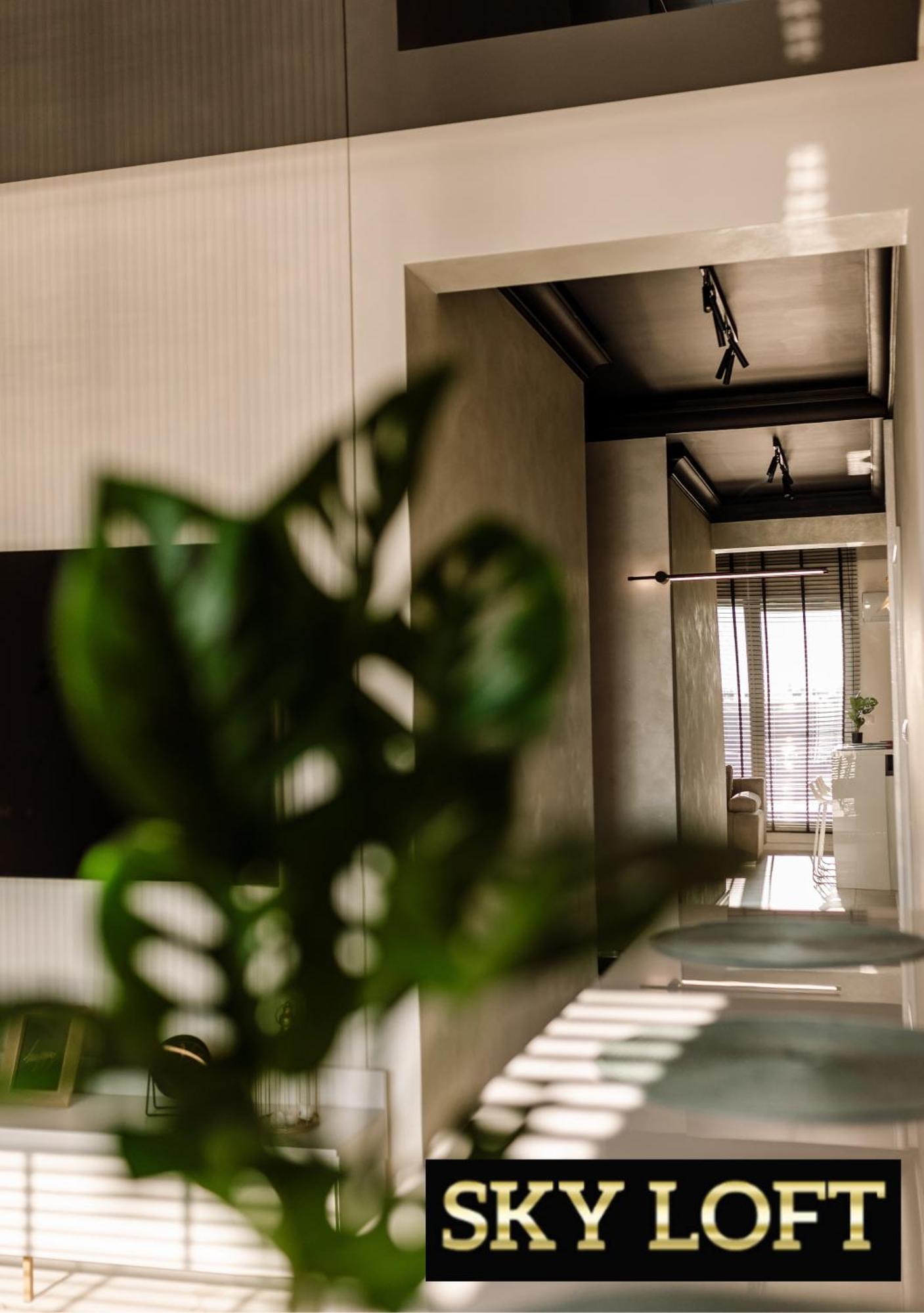 Skyloft & Miniloft Apartment Opole