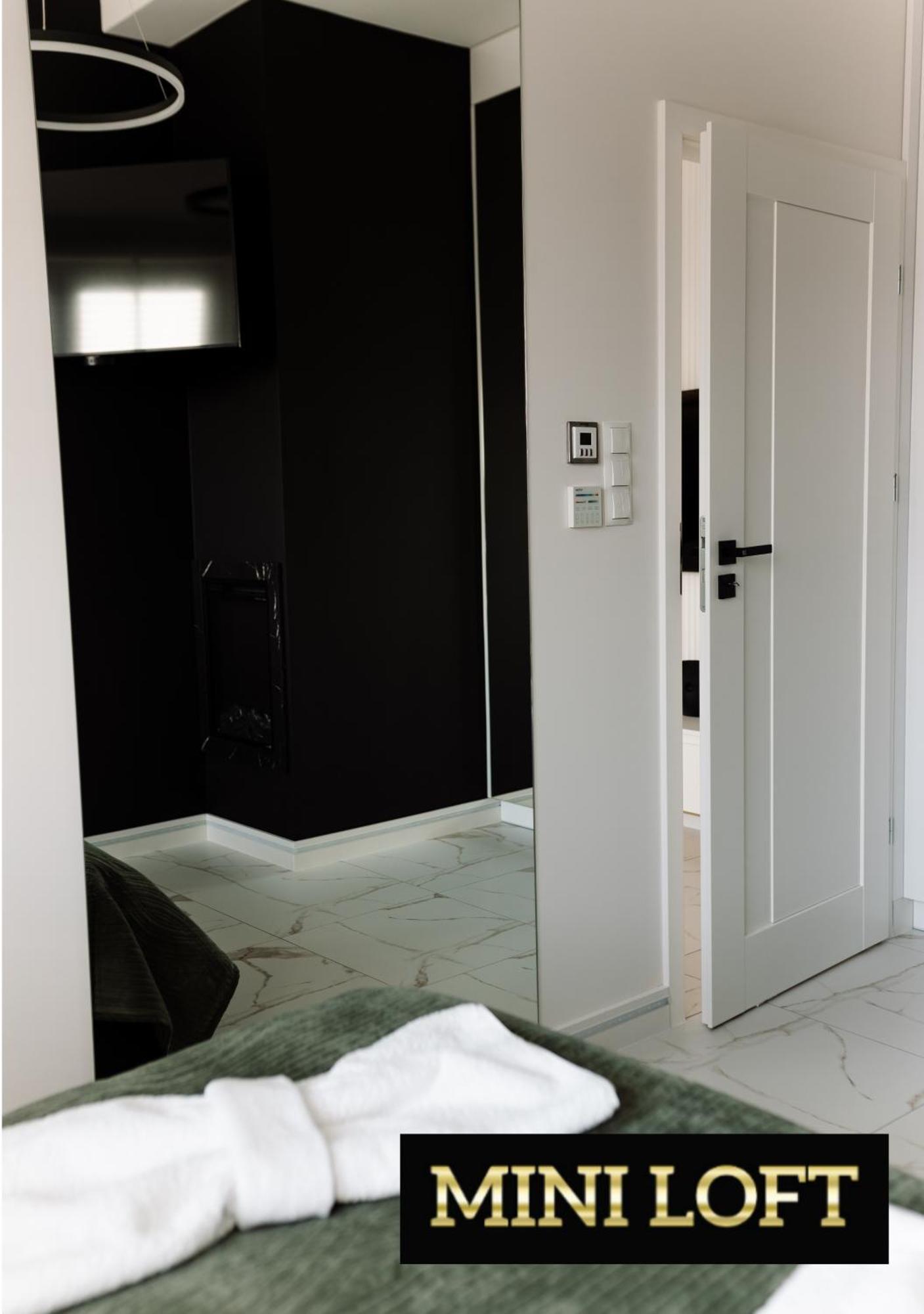 Skyloft & Miniloft Apartment Opole